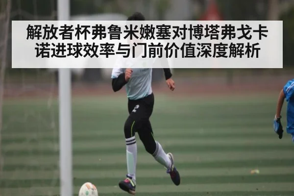 解放者杯弗鲁米嫩塞对博塔弗戈卡诺进球效率与门前价值深度解析